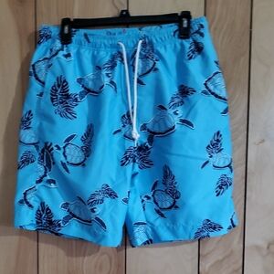 Blue Turtle Print Swim Shorts